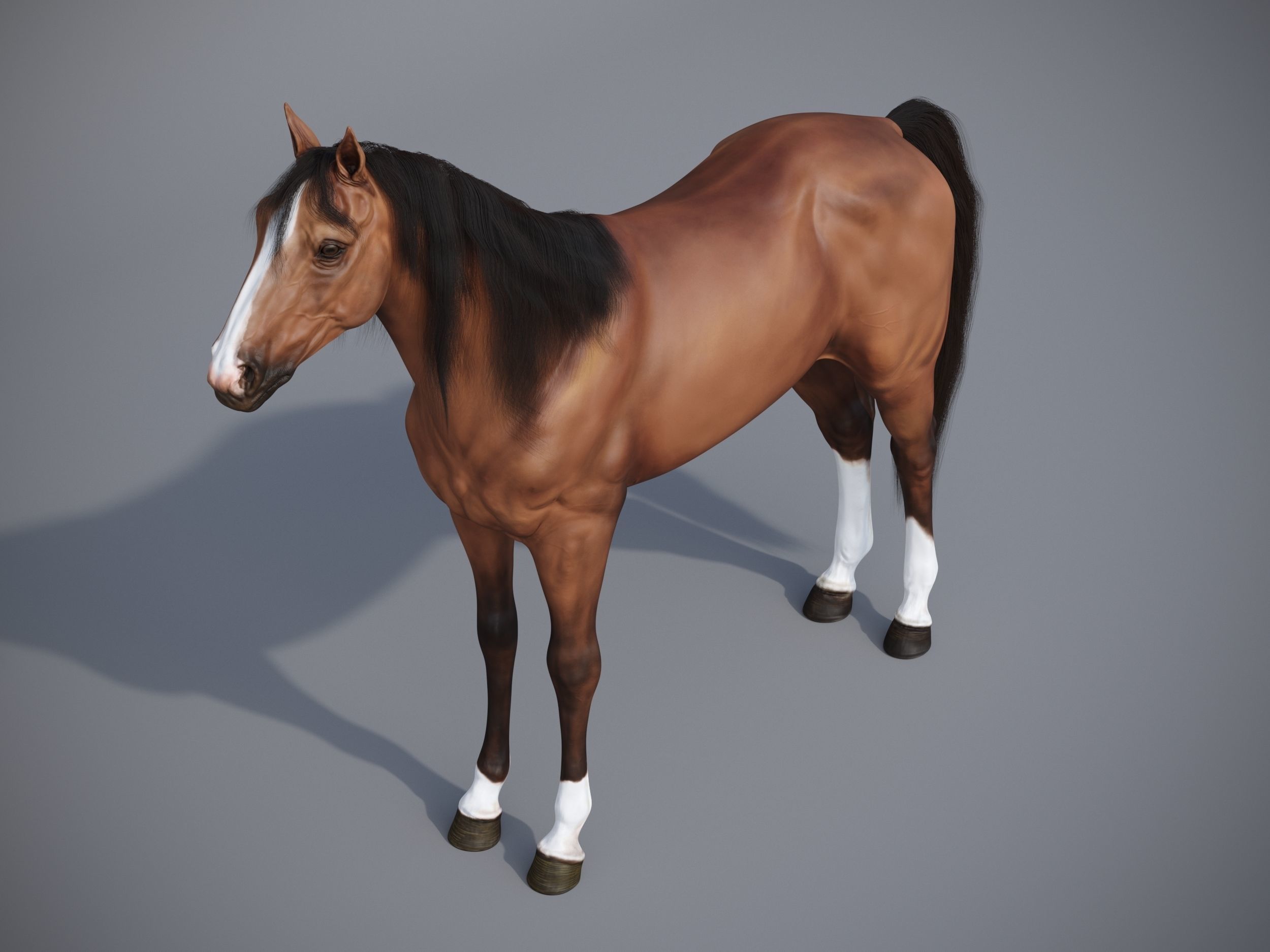 Horse in three poses  not animated Low-poly 3D model_11