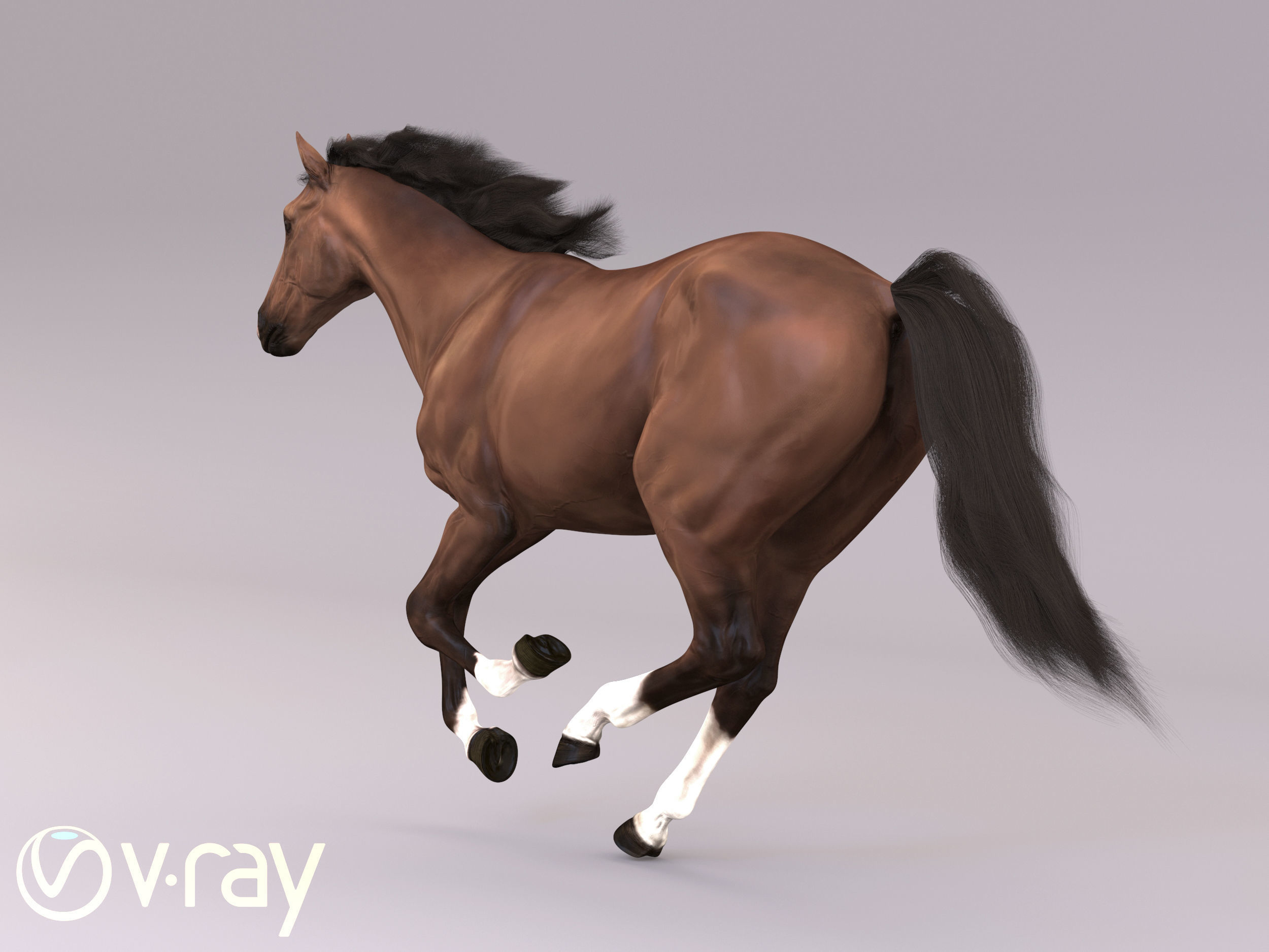Horse in three poses  not animated Low-poly 3D model_5