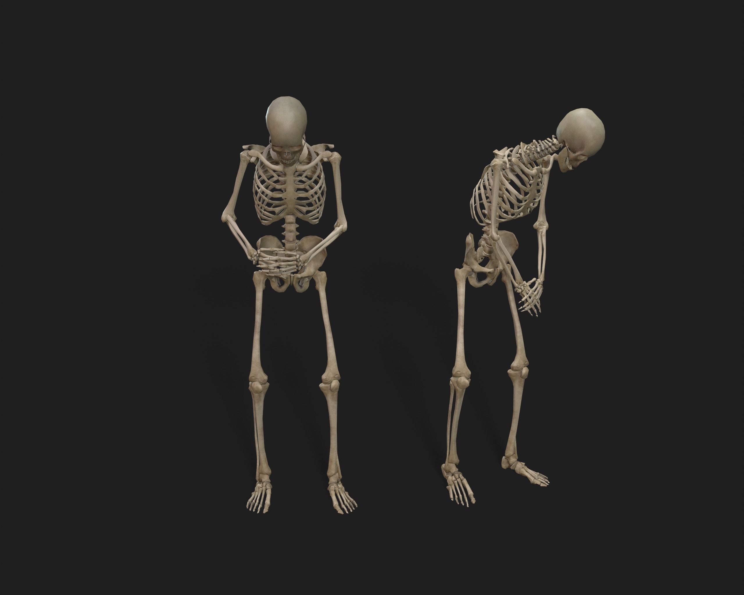 PBR Assets - Crypt Props for Horror Environments Low-poly 3D model_19