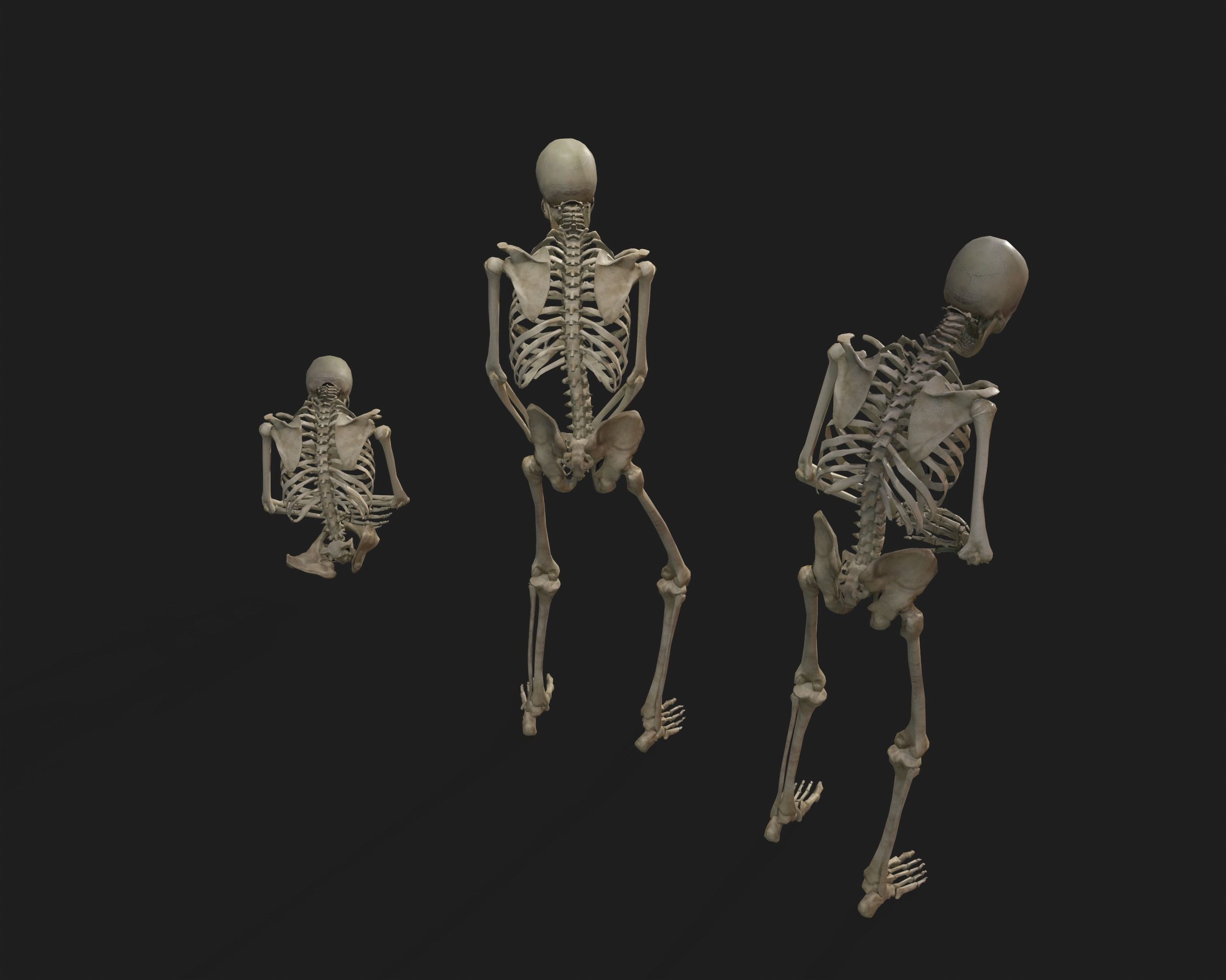 PBR Assets - Crypt Props for Horror Environments Low-poly 3D model_21