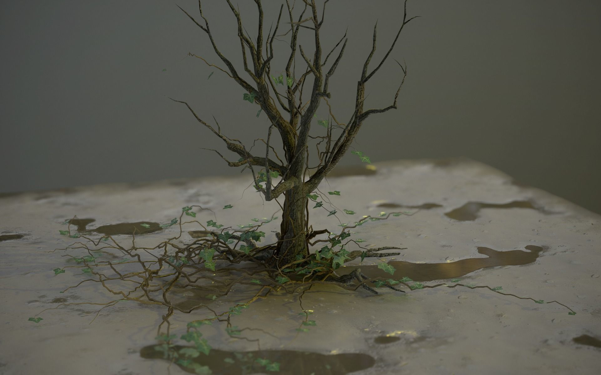 PBR Assets - Crypt Props for Horror Environments Low-poly 3D model_35