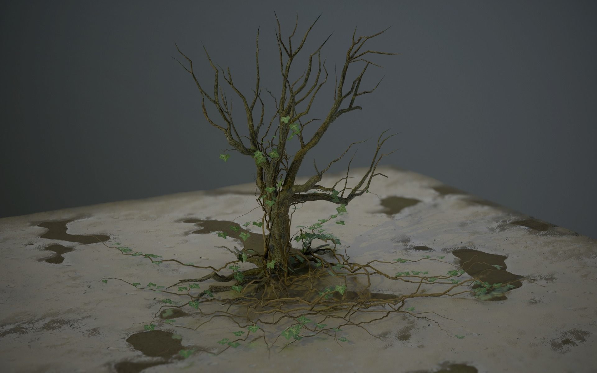 PBR Assets - Crypt Props for Horror Environments Low-poly 3D model_34