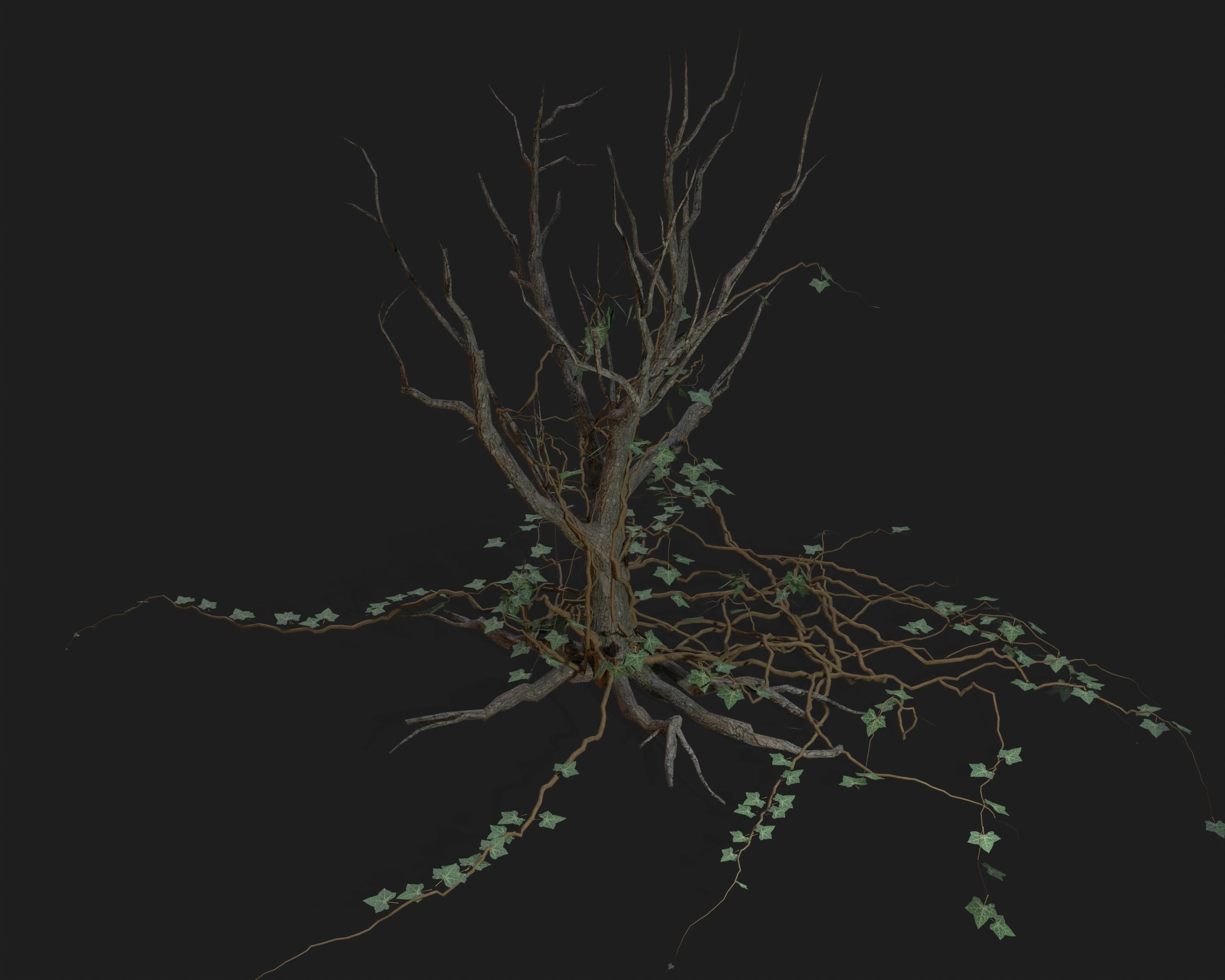 PBR Assets - Crypt Props for Horror Environments Low-poly 3D model_36