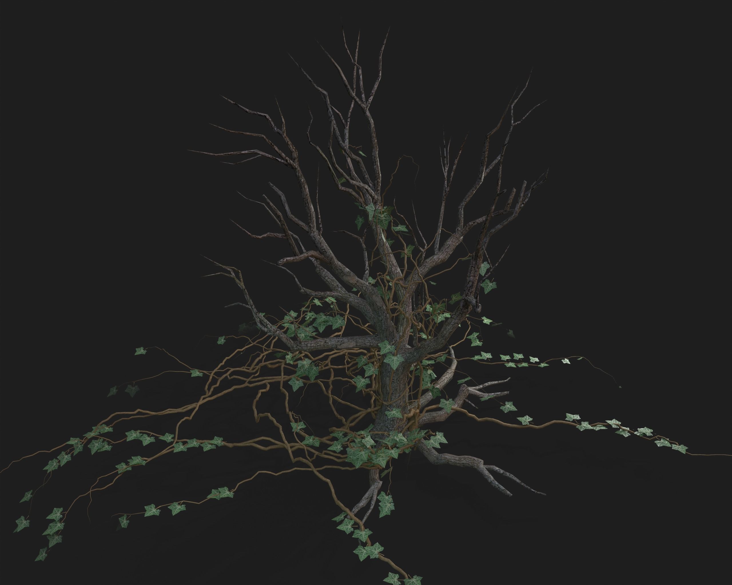 PBR Assets - Crypt Props for Horror Environments Low-poly 3D model_37