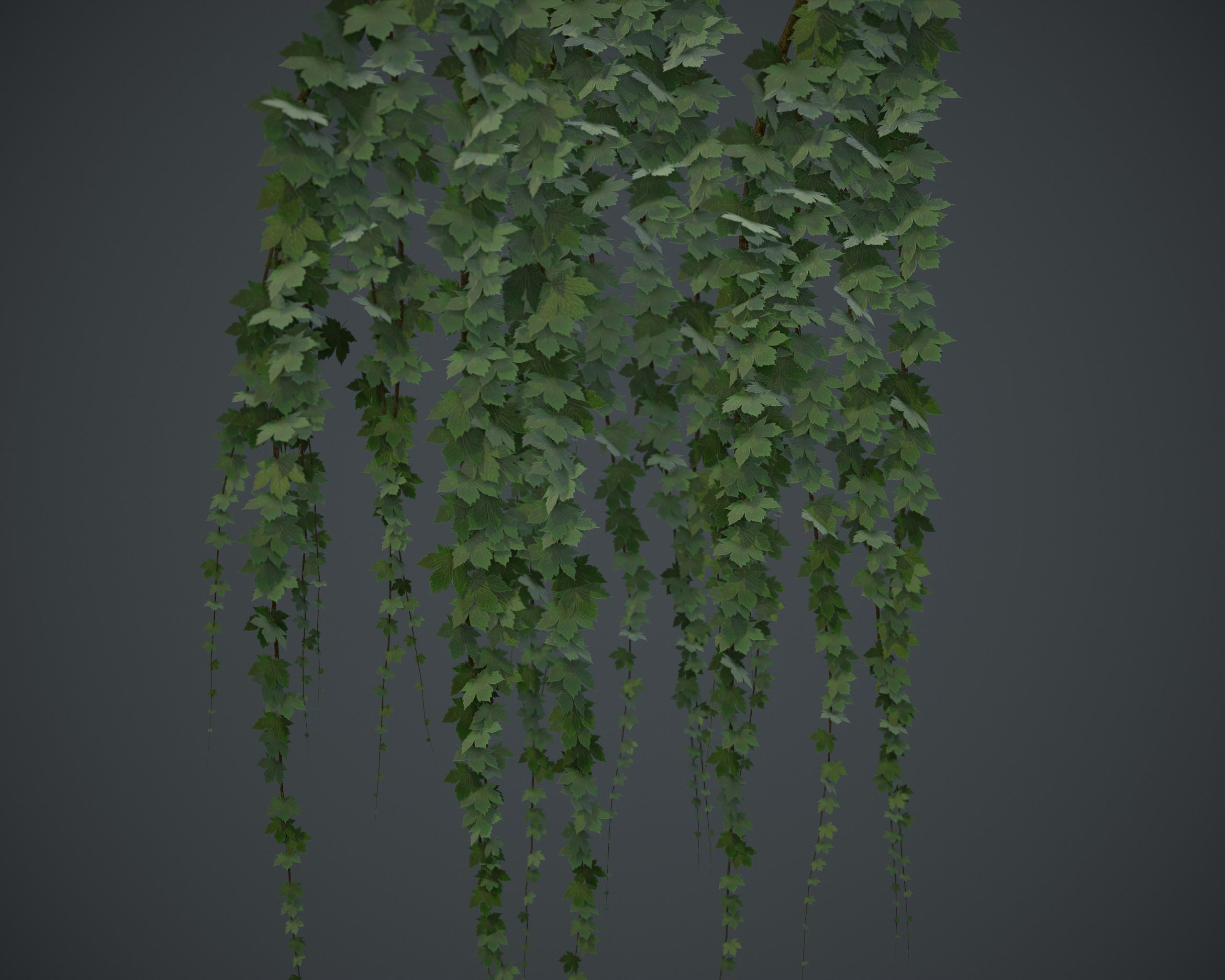 PBR Assets - Crypt Props for Horror Environments Low-poly 3D model_33