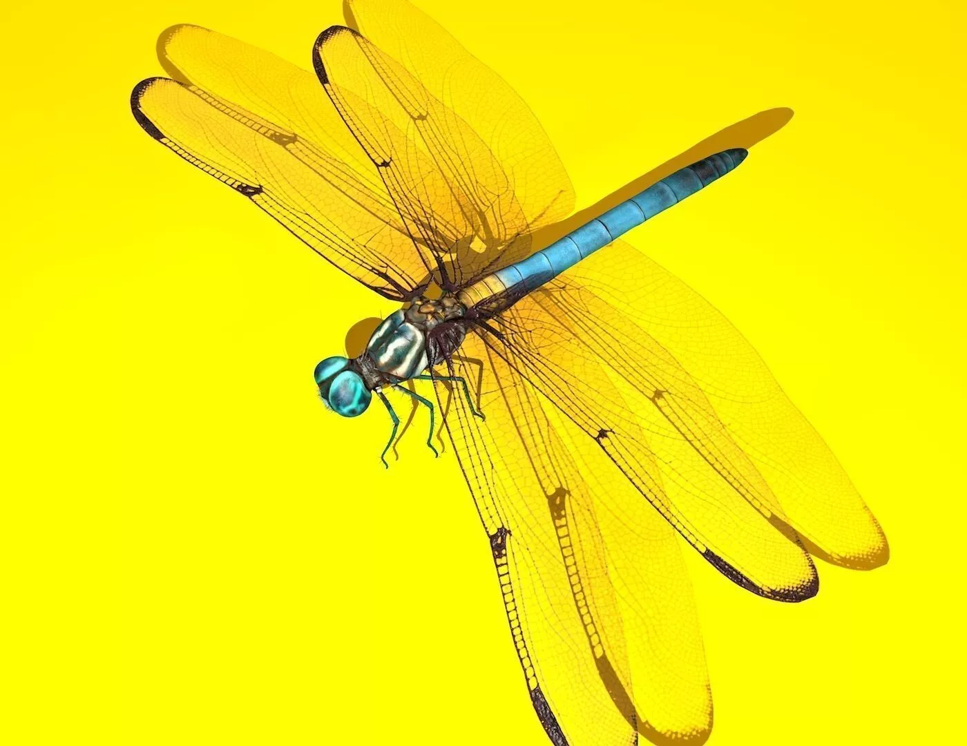 Dragonfly Full Rigged Low-poly 3D model