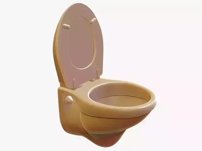 Wall Mounted Toilet 3D print model