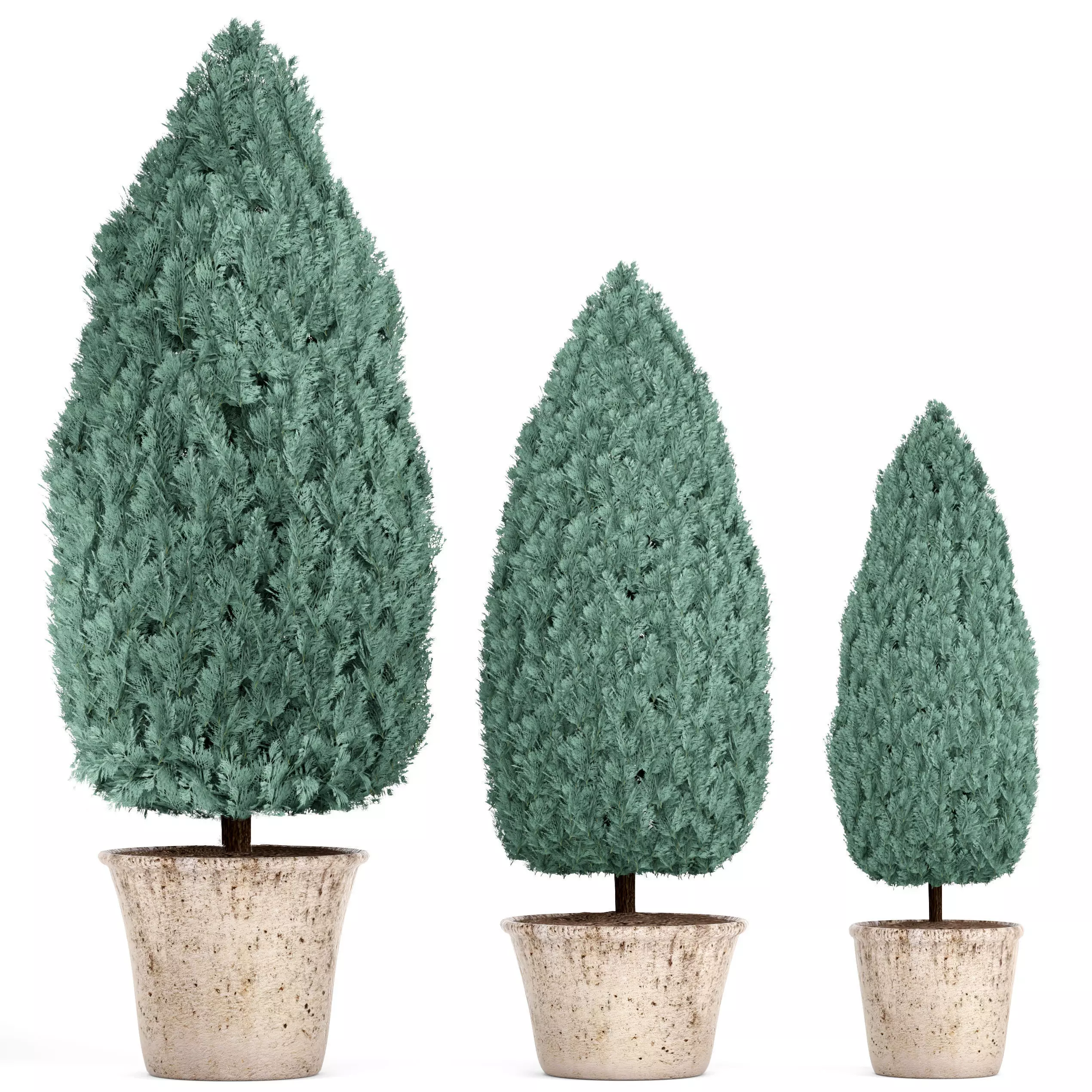 beste dünger für zimmerpflanzen Bio-Zimmer- & Grünpflanzendünger kaufen main image 1