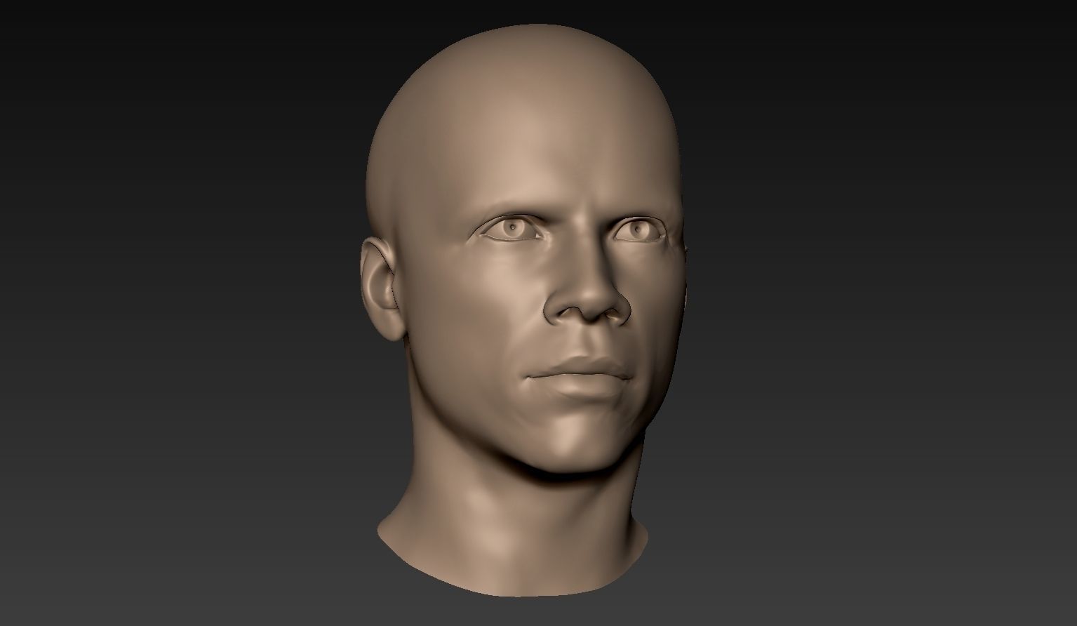 12 Male Heads 3D model_23