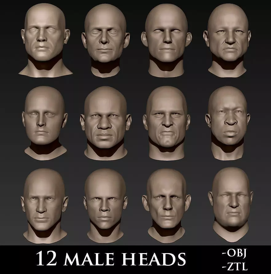 12 Male Heads 3D model_0