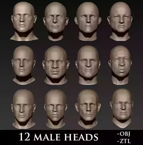 12 Male Heads 3D model
