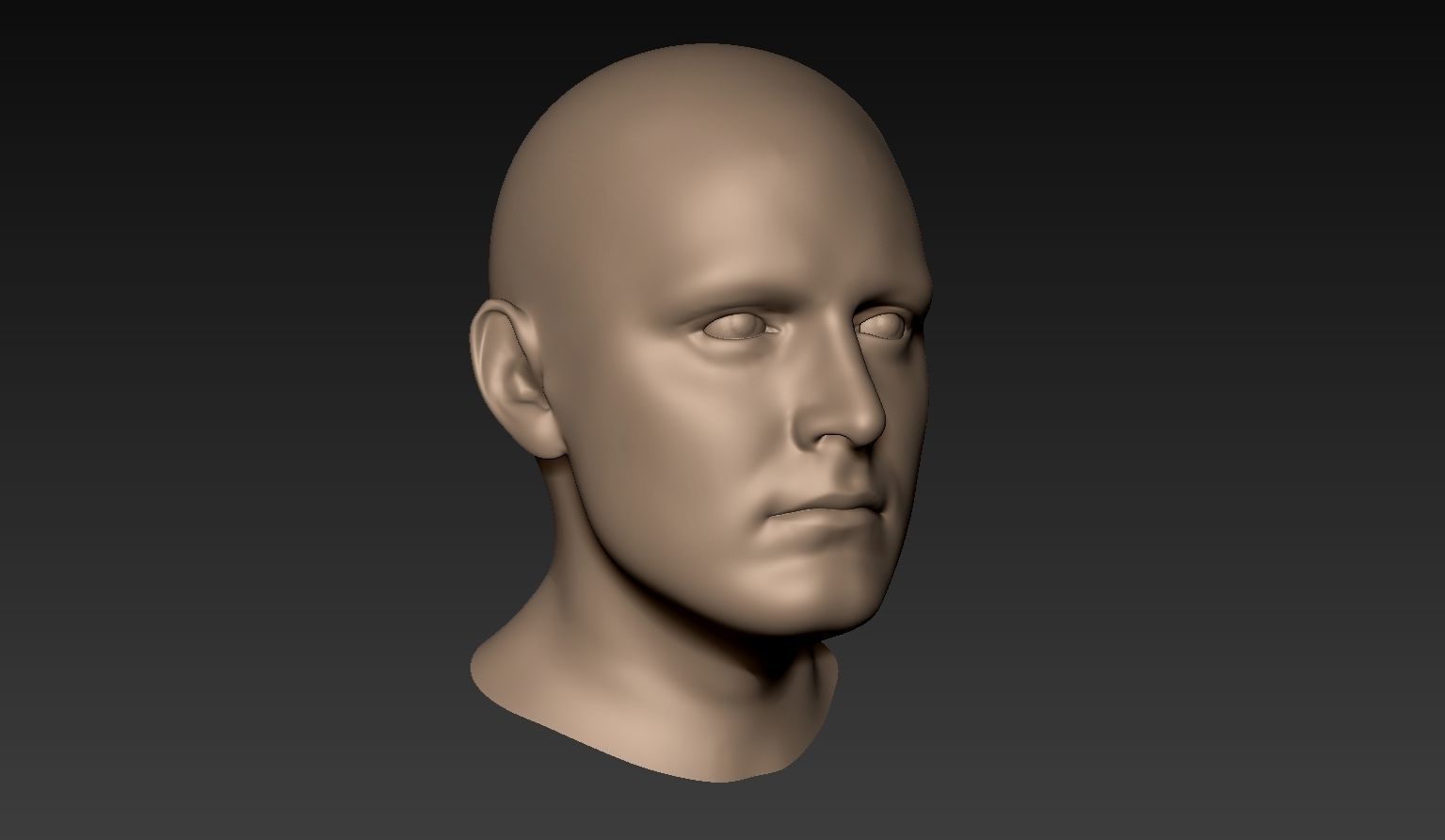 12 Male Heads 3D model_8