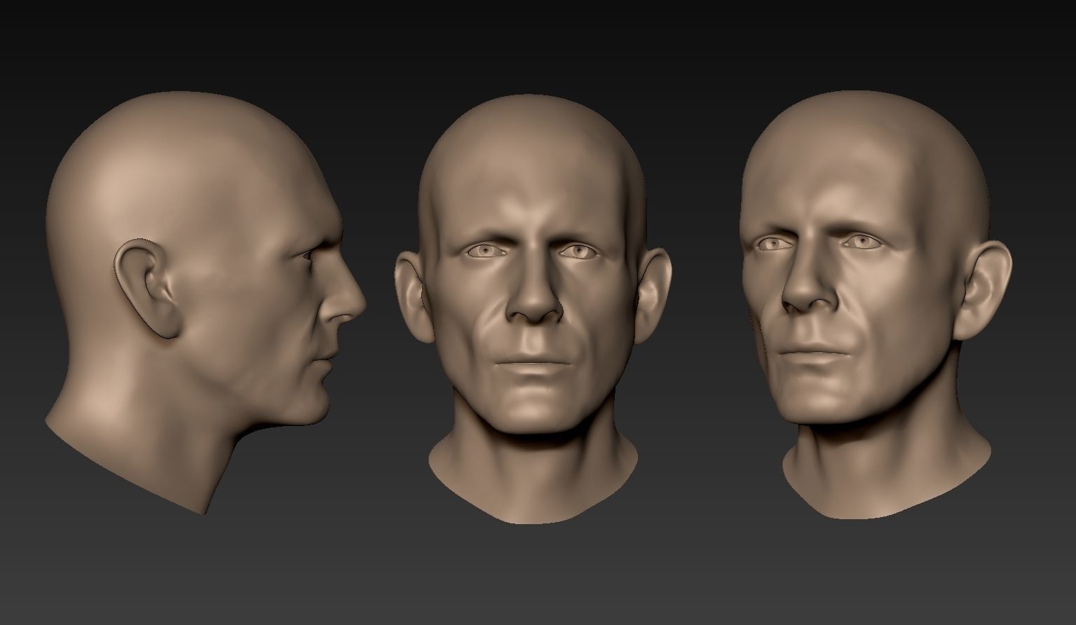 12 Male Heads 3D model_26