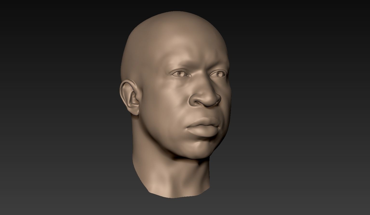 12 Male Heads 3D model_19