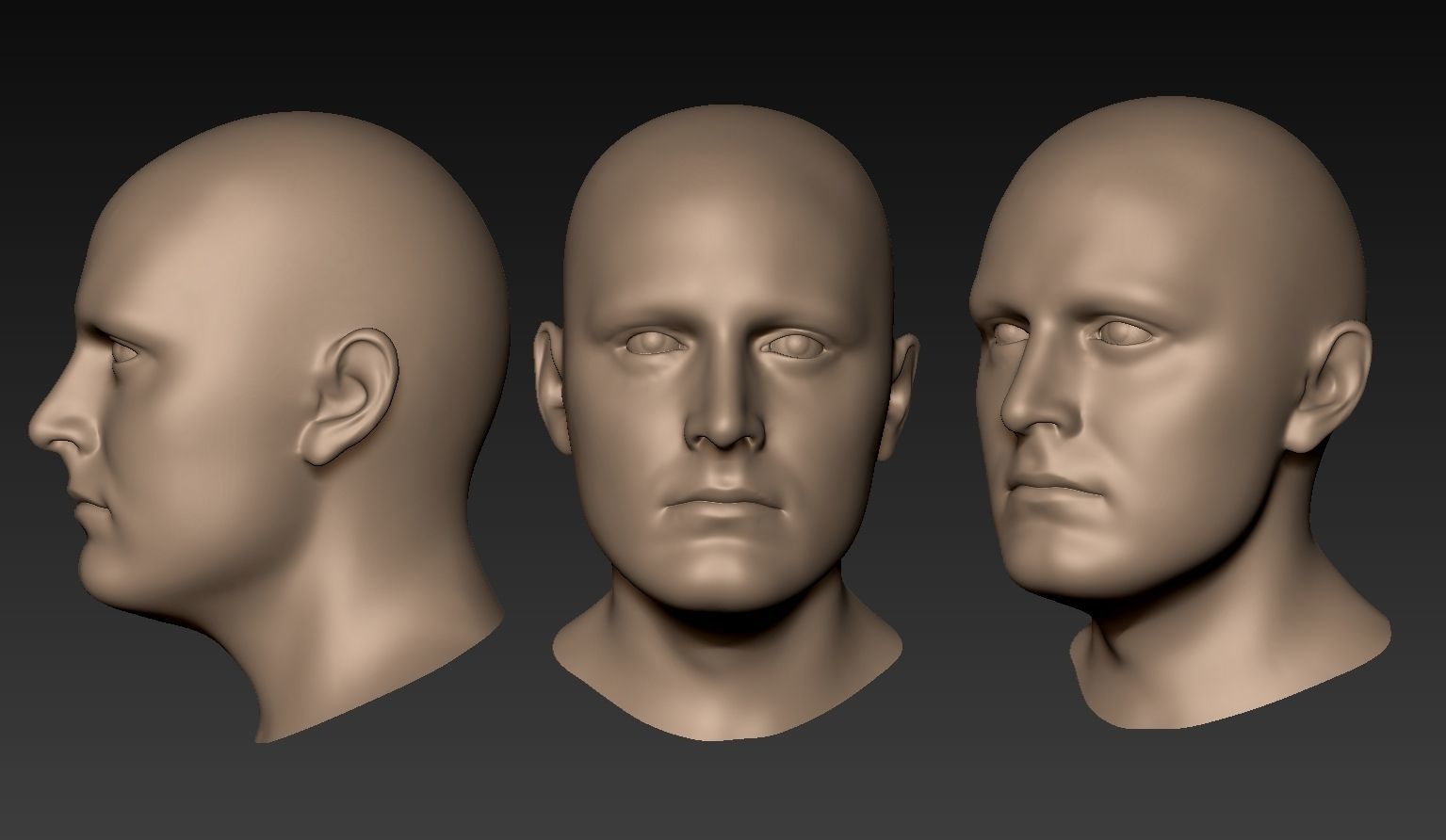 12 Male Heads 3D model_11
