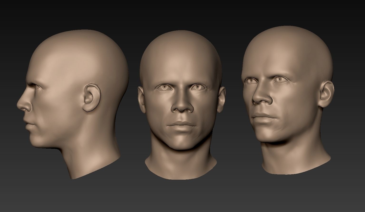 12 Male Heads 3D model_24