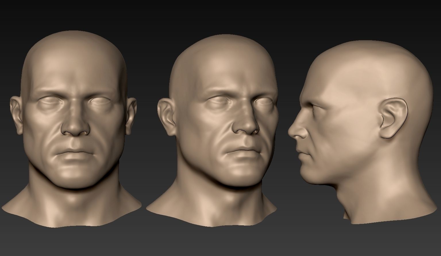 12 Male Heads 3D model_5