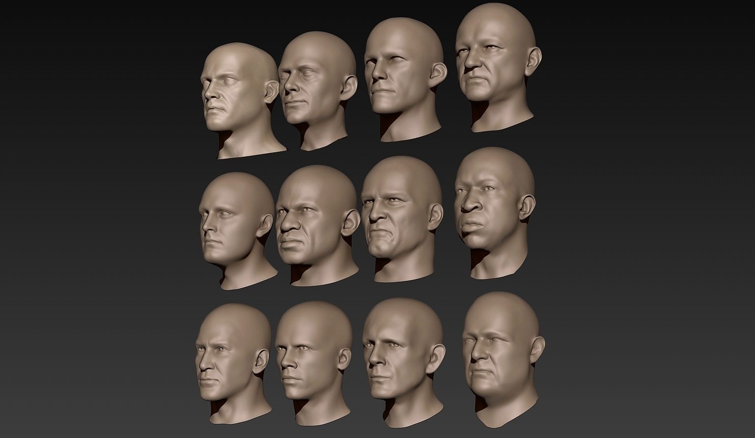 12 Male Heads 3D model_1
