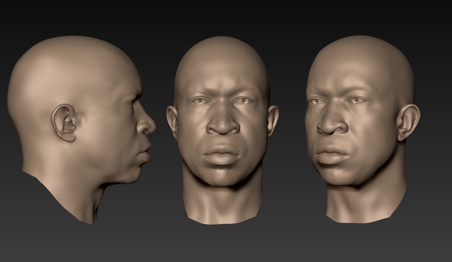 12 Male Heads 3D model_20