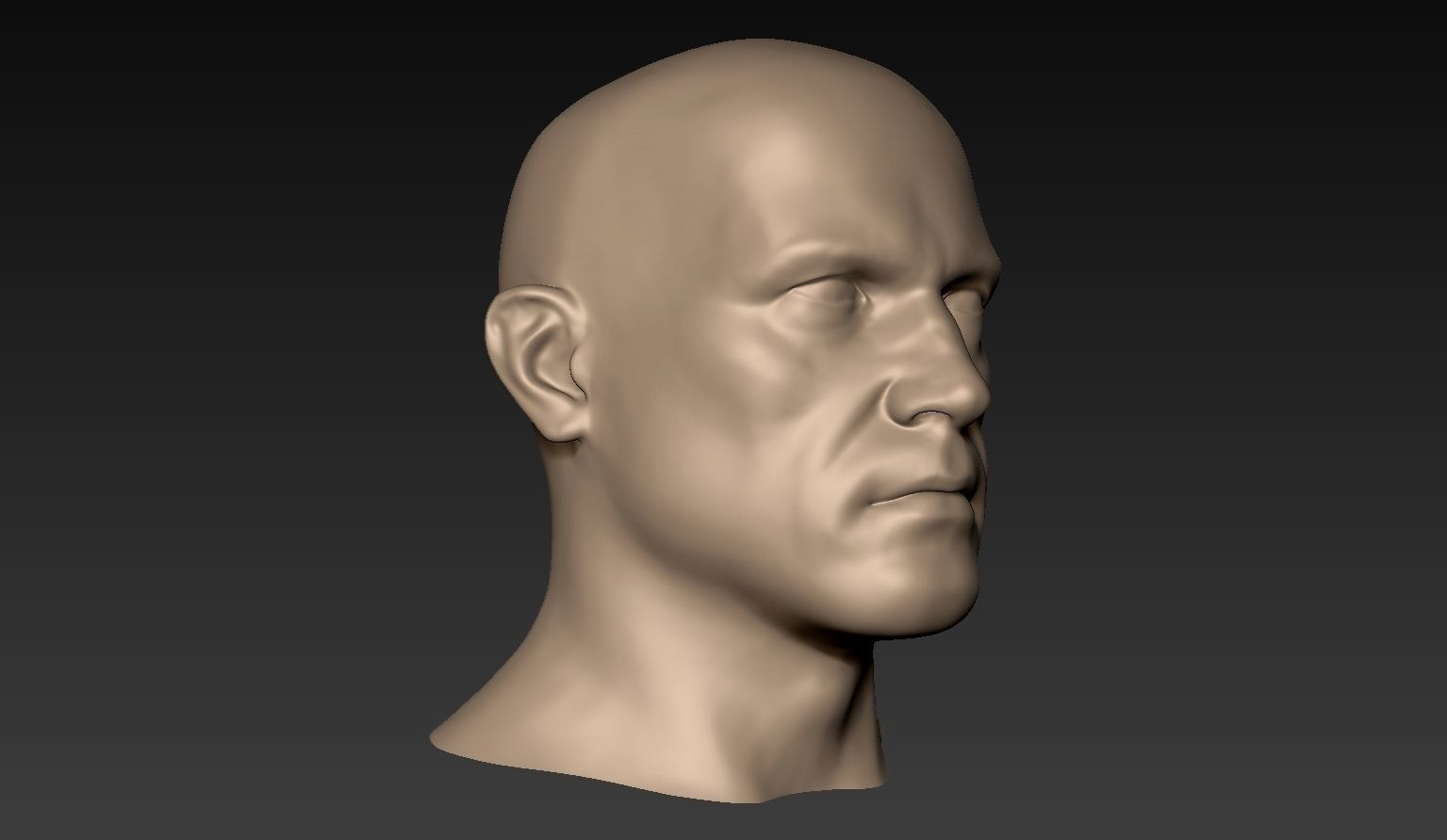 12 Male Heads 3D model_3