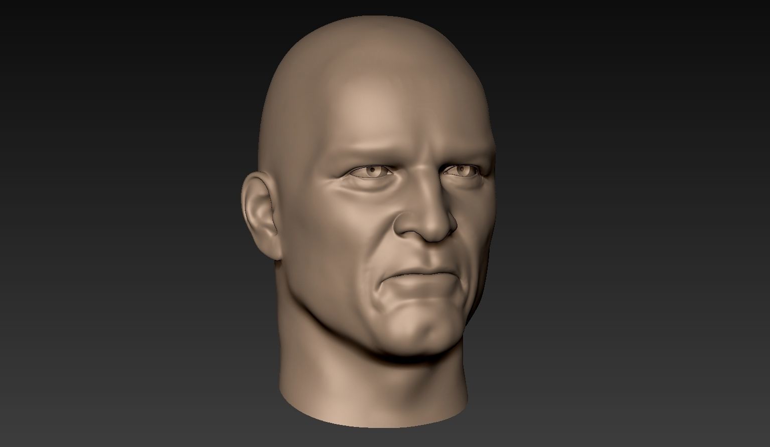 12 Male Heads 3D model_15