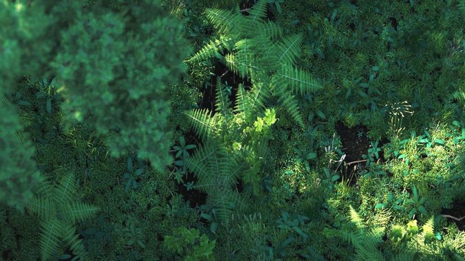 Forest Nature Scene for Cinema 4D with Octane Render 3D model