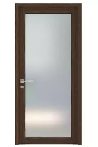 Door-028 interior door with frosted glass