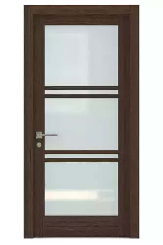 Door-036 interior door with glass panels