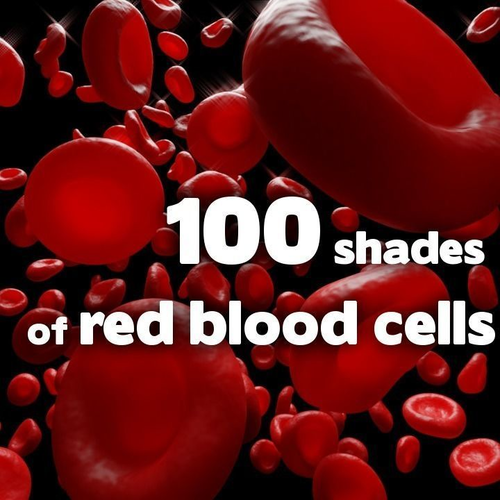 100 shades of red blood cells Low-poly 3D model