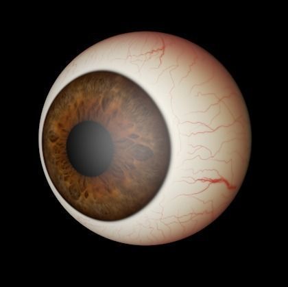 eye ball Free 3D model_0
