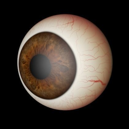 eye ball