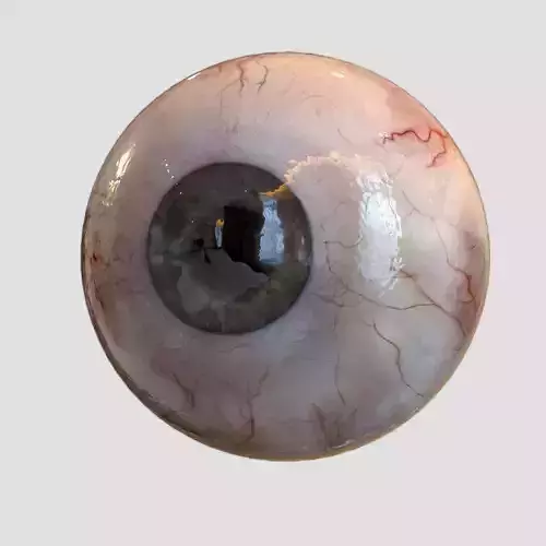 Human Eye Realistic 3D model