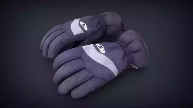 Ski Gloves for Woman