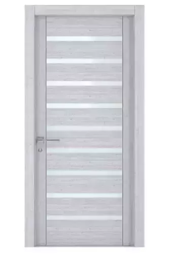 Door-055 door with glass panels