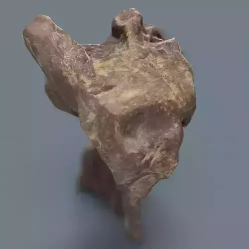 Dancing Brown Rock Low-poly 3D model