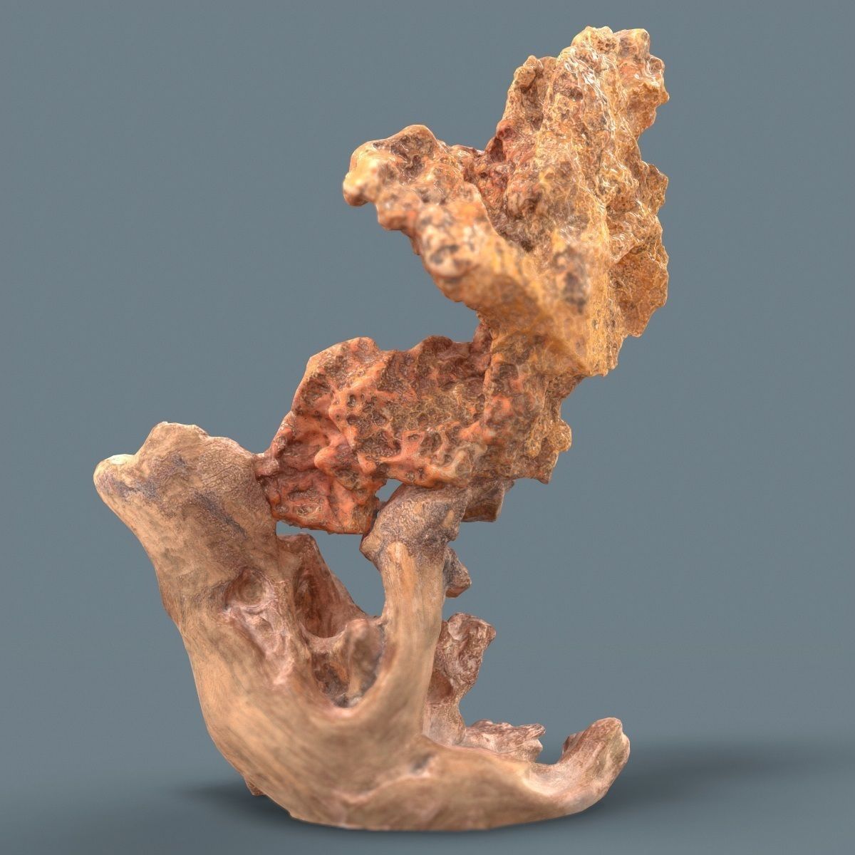 Orange Wood Rock Low-poly 3D model_3