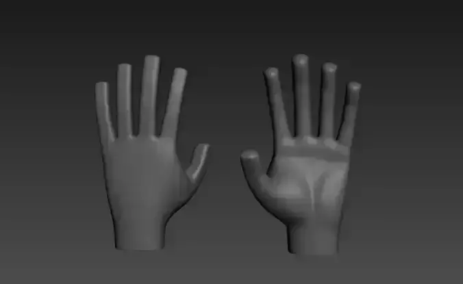 Hand model mannequin