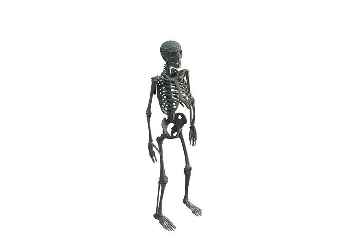 Base Mesh Skeleton - Low Poly  Low-poly 3D model