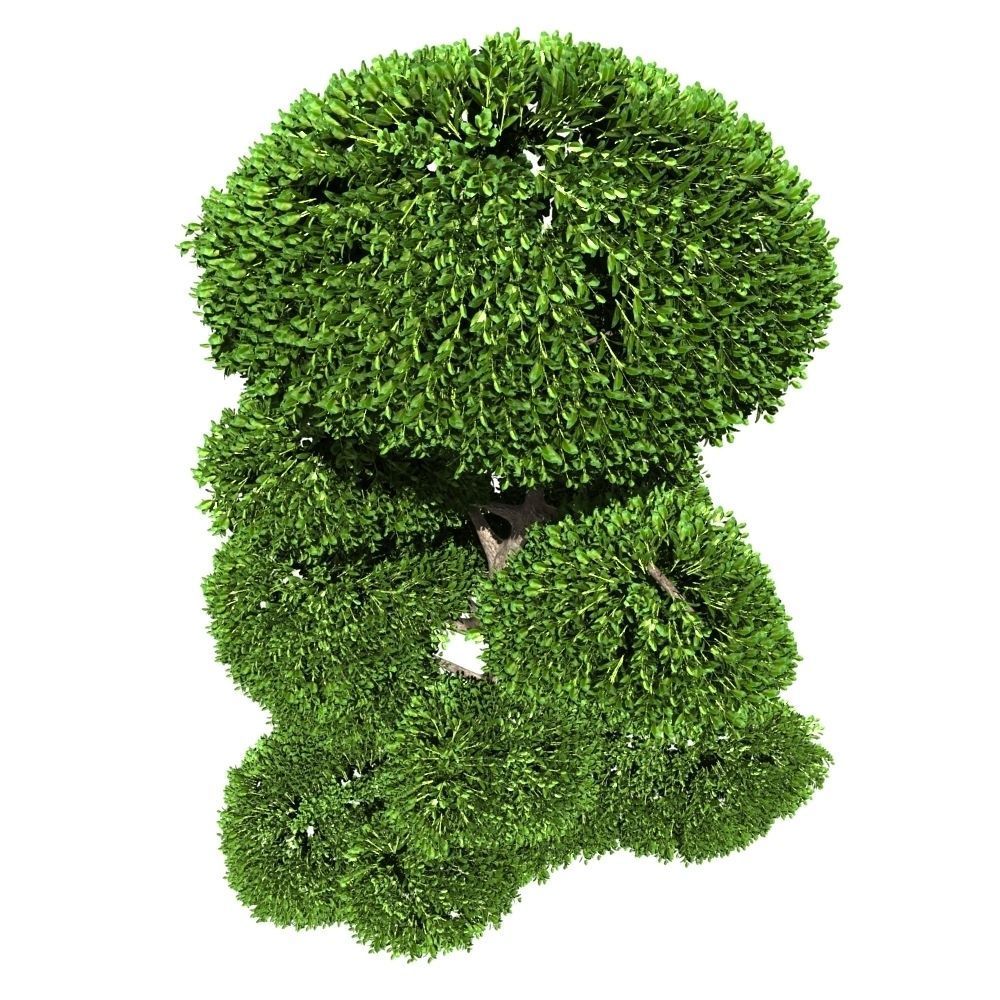 Cutted styled bush buxus 3D model_5