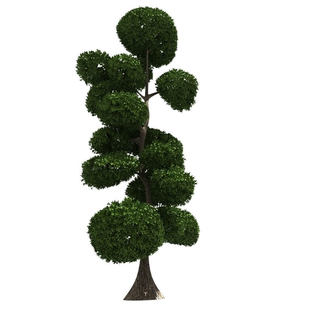 Cutted styled bush buxus 3D model_3
