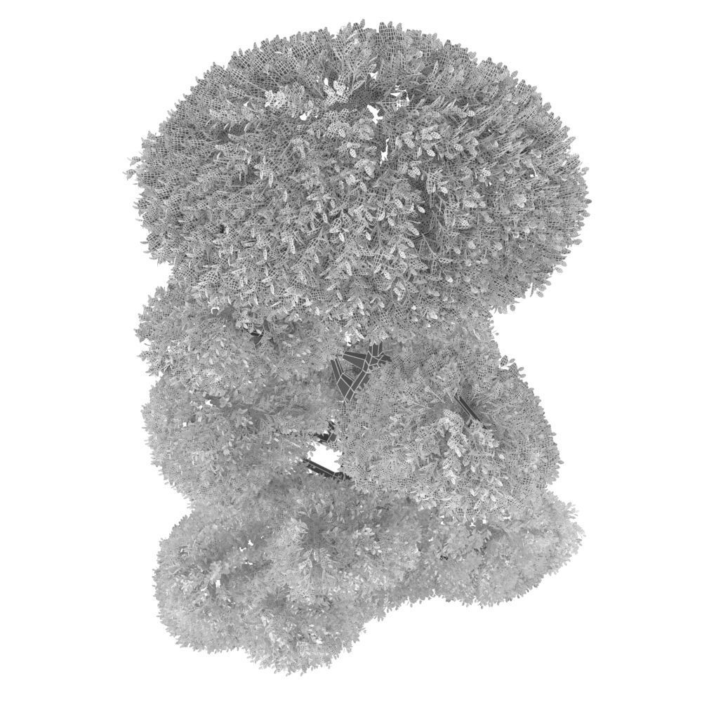 Cutted styled bush buxus 3D model_6