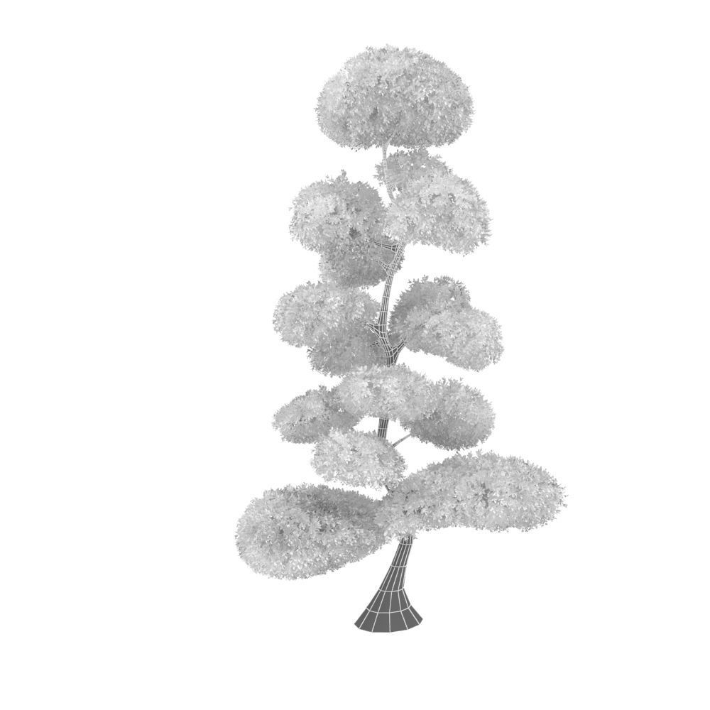 Cutted styled bush buxus 3D model_8