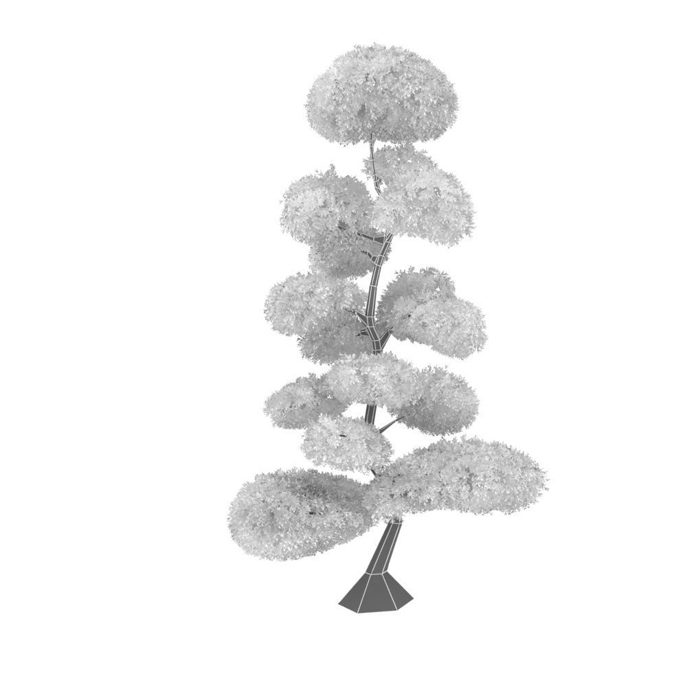 Cutted styled bush buxus 3D model_7