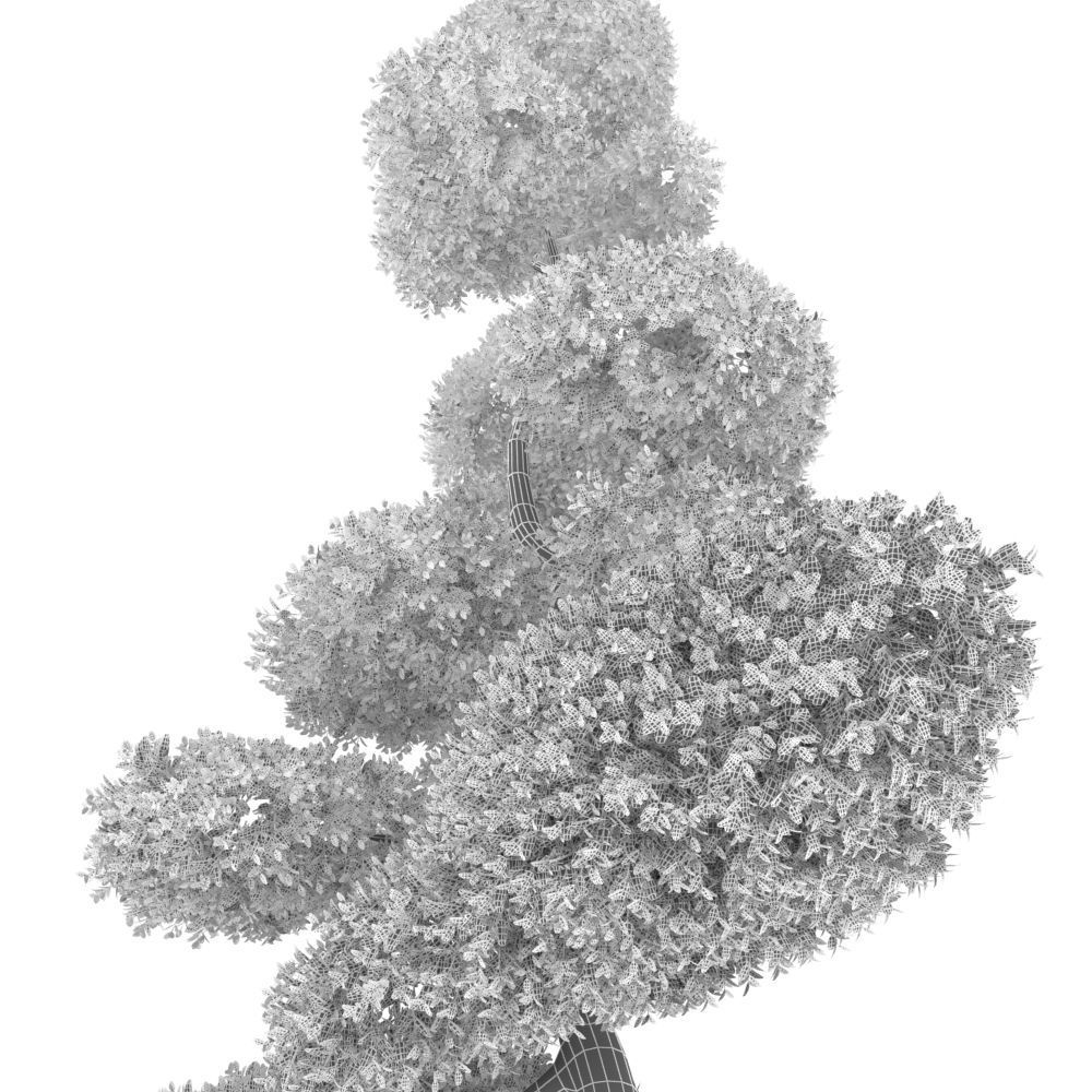 Cutted styled bush buxus 3D model_10