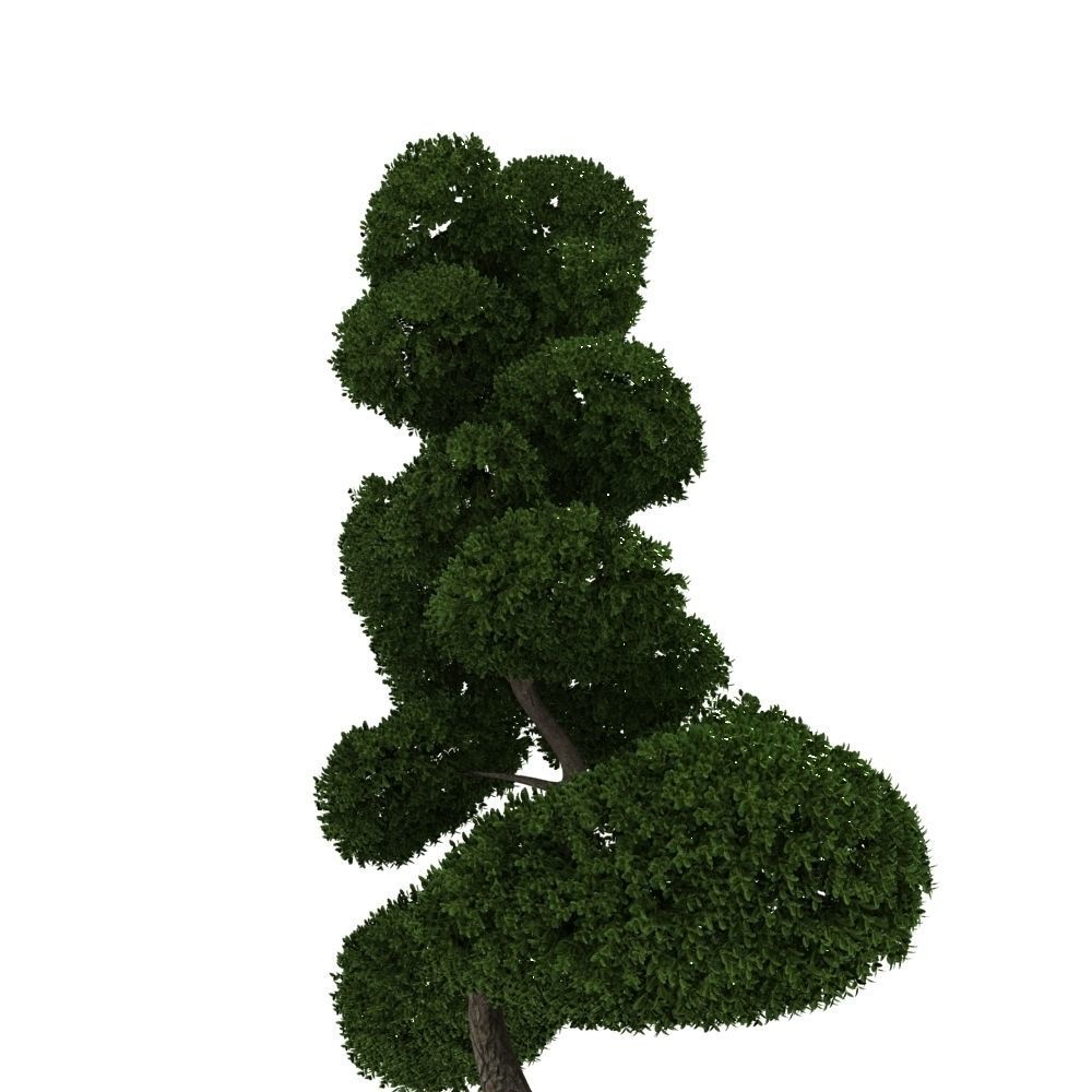 Cutted styled bush buxus 3D model_1