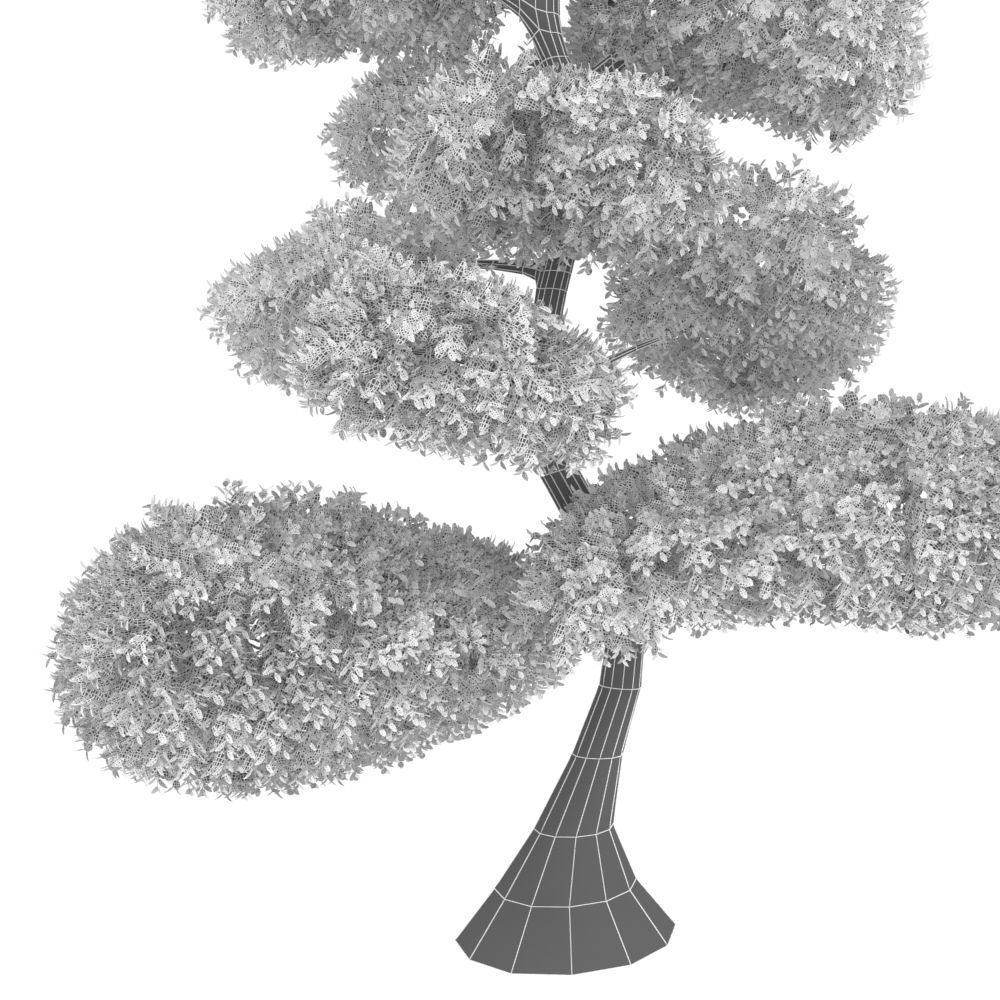 Cutted styled bush buxus 3D model_9