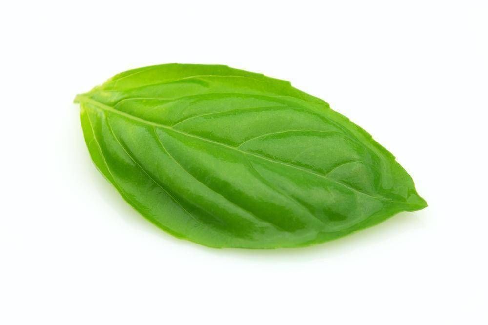 3D Scan Man Scientist 025 3D model_5