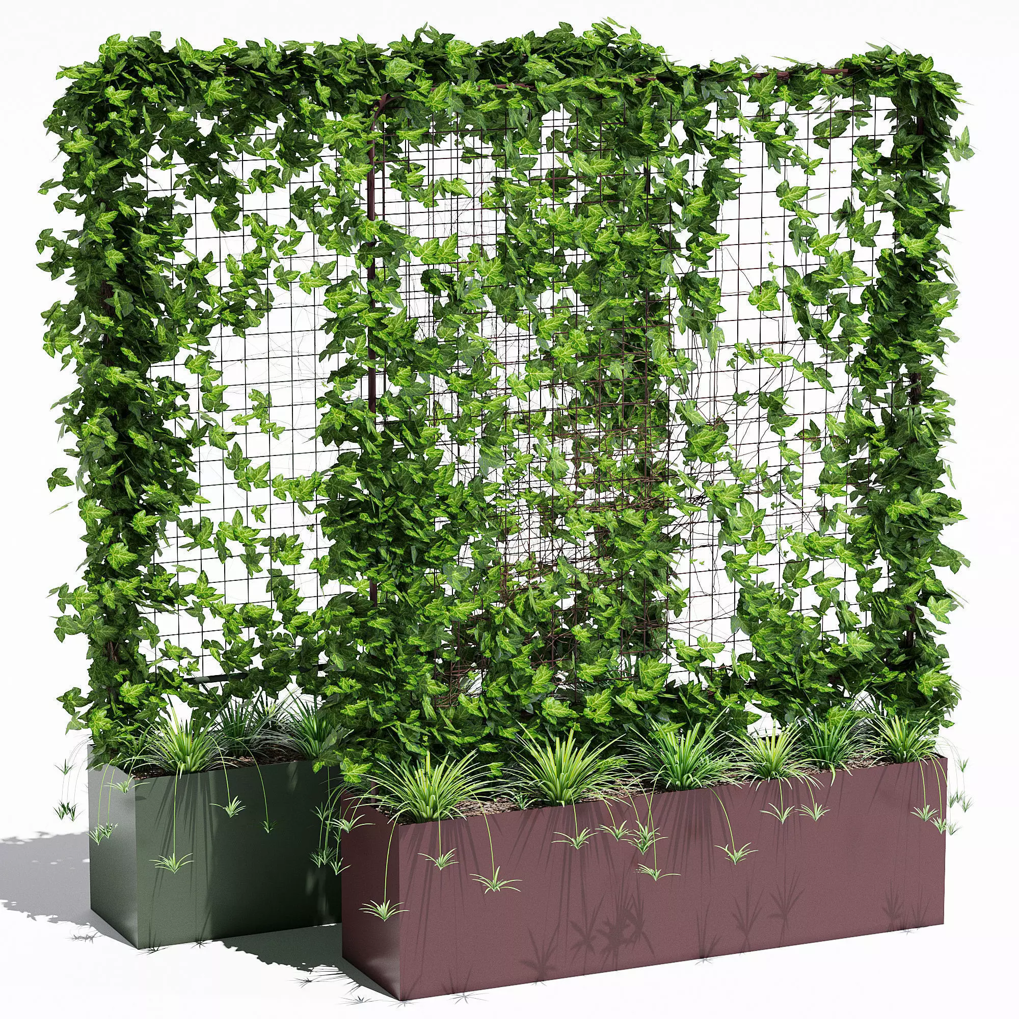 Waratah planter with plants and ivy 3D model_0
