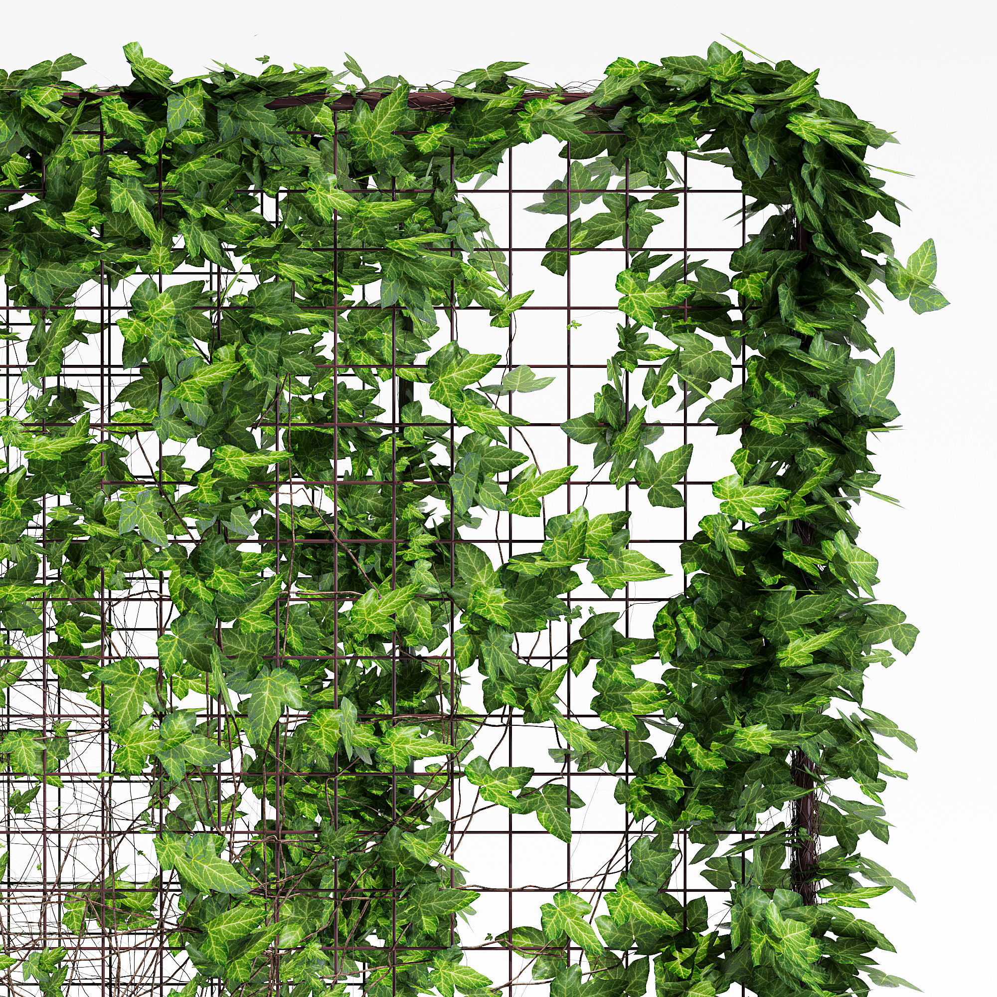 Waratah planter with plants and ivy 3D model_5
