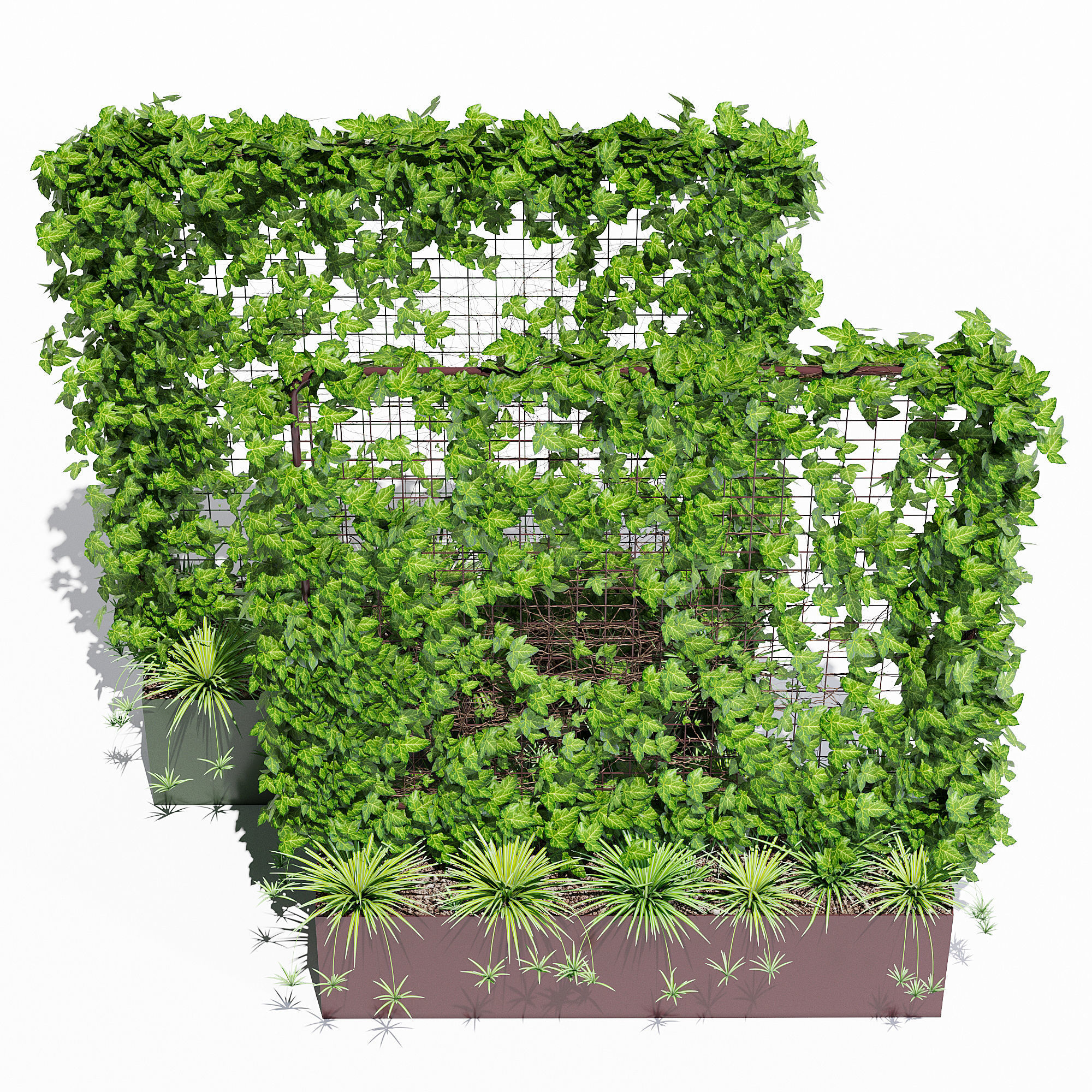 Waratah planter with plants and ivy 3D model_3